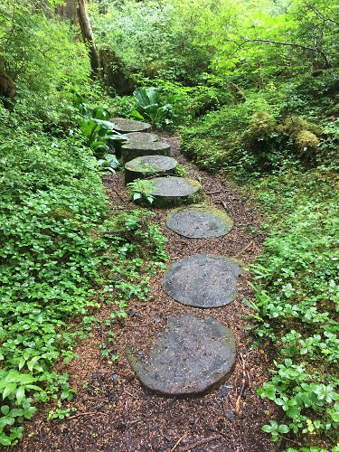 Tree sections cut as stepping stones.