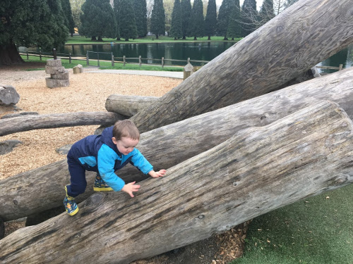 Julian climbing up logs.