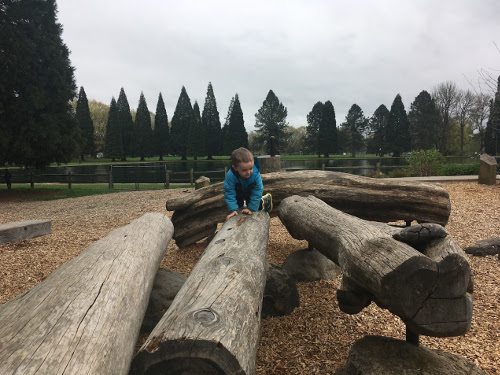 Julian crawling on logs.