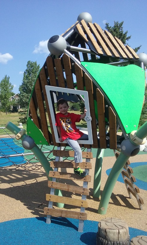 Calvin in play structure
