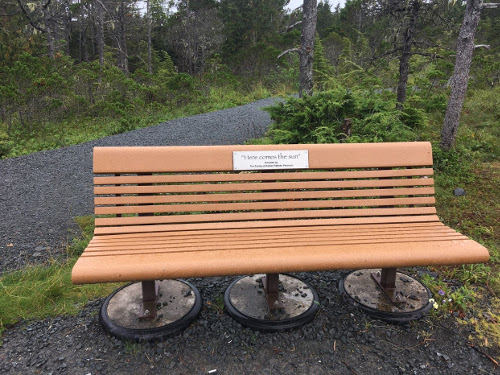 Bench with plaque saying Here Comes the Sun