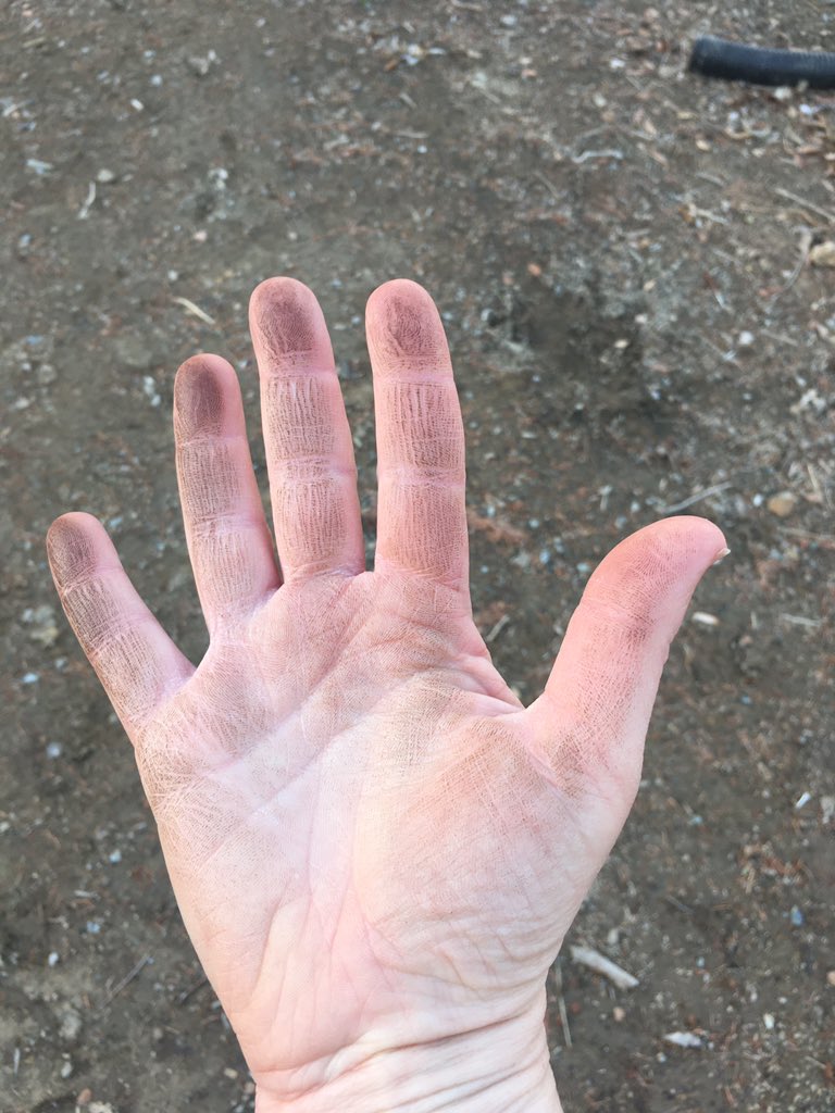 A right hand, palm up and fingers spread, with obvious dirt coating the fingers.