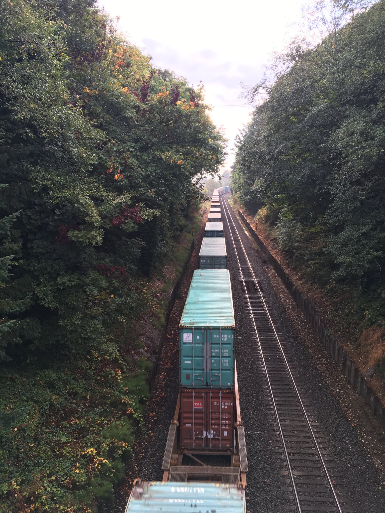 Picture is taken on a bridge looking down at railroad tracks. There are two sets of tracks and the left tracks are occupied by double decker boxcars. On either side of the tracks are lush green trees.
