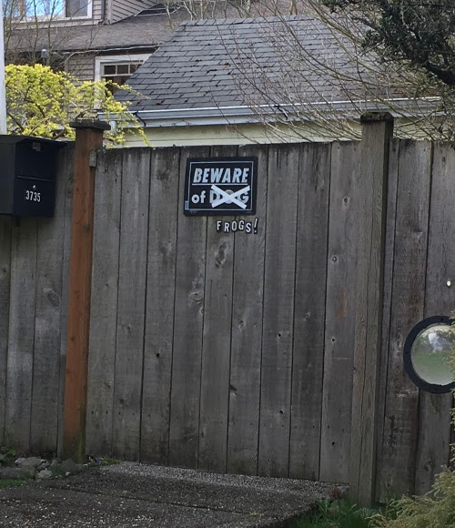 Wooden fence gate with Beware of Dog sign. The word dog is crossed out and below it says "Frogs!".