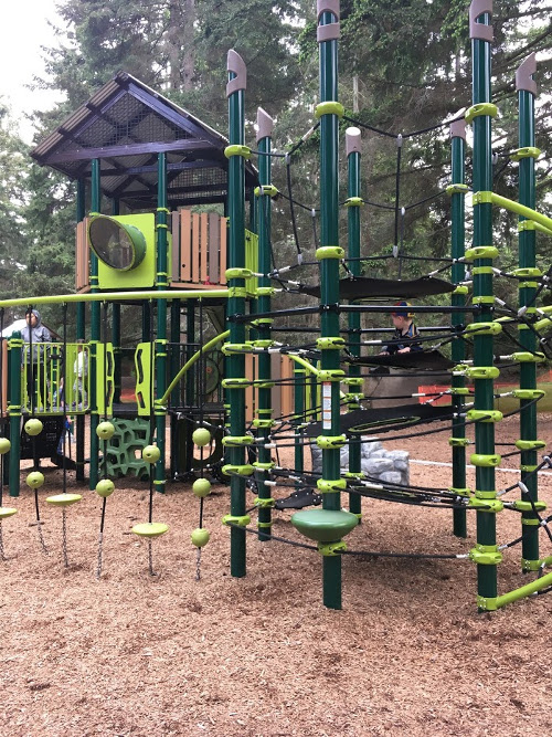 Rope bridge and stacked climbing disks.