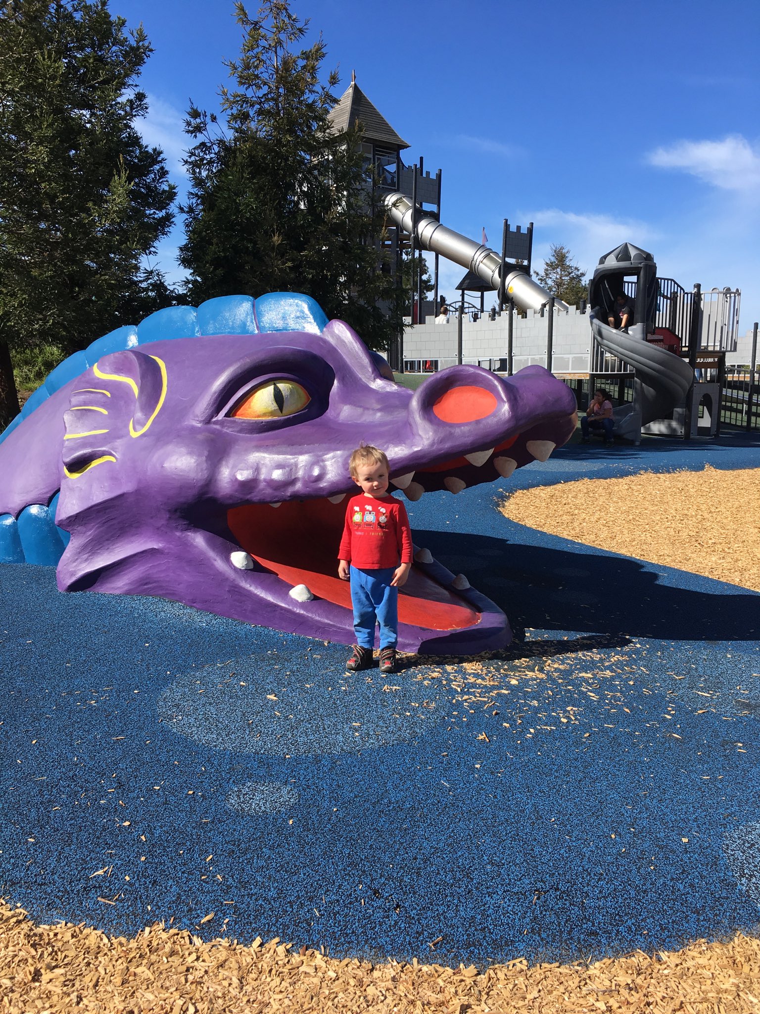 Young Julian stands in front of a large plastic dragon head that is part of the castle flavor of the playground.